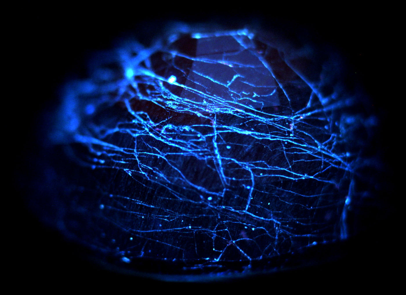 Figure 13. DiamondView™ image of a cobalt-doped glass-filled sapphire, showing chalky blue fluorescence from the glass-filled fissures. Image: GIT