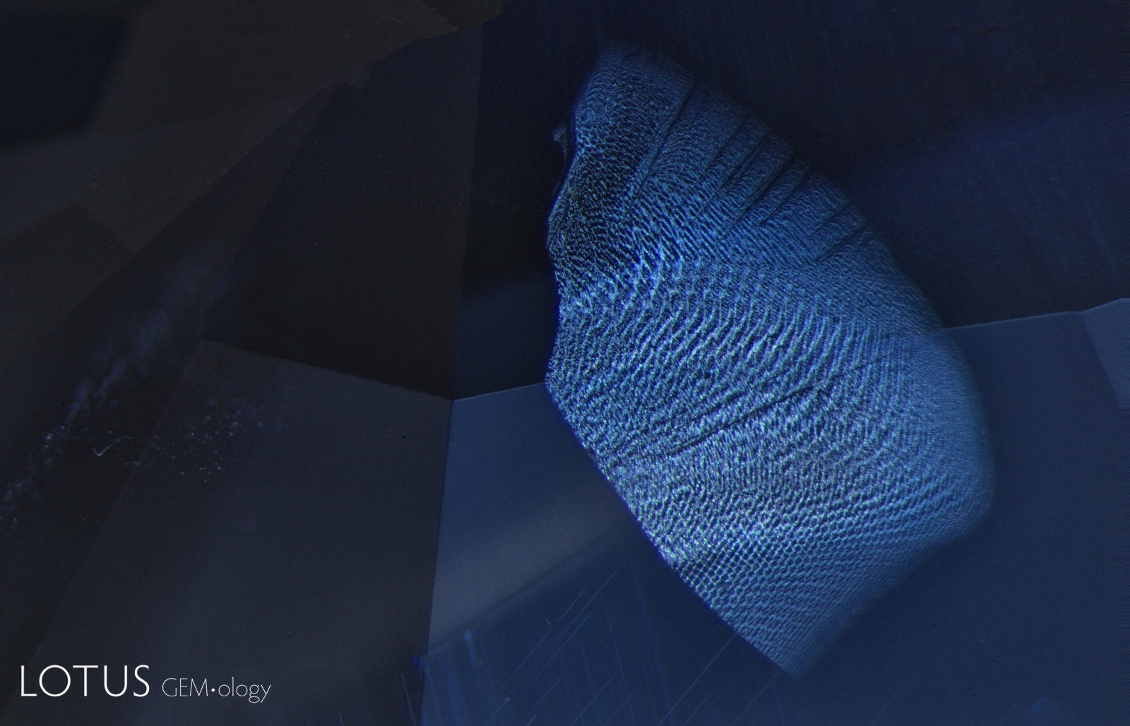 Demonstrating that the inner world can be as captivating as that outside, this Madagascar sapphire displays a small fingerprint scar with a beguiling moiré pattern. The undamaged nature of this inclusion testifies to the natural, untreated origin of the gem.