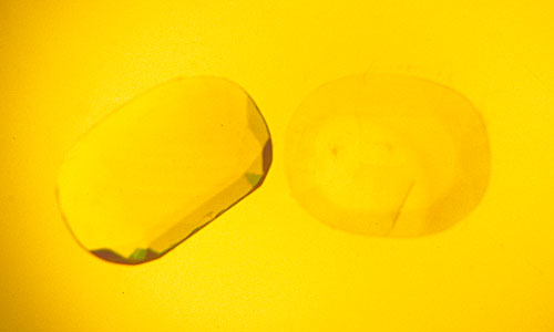 Figure 1. Mellow yellow Two yellow sapphires immersed in di-iodomethane. Yellow stones in a yellow liquid over a yellow light make it extremely difficult to see color zoning. Photo: © Richard W. Hughes