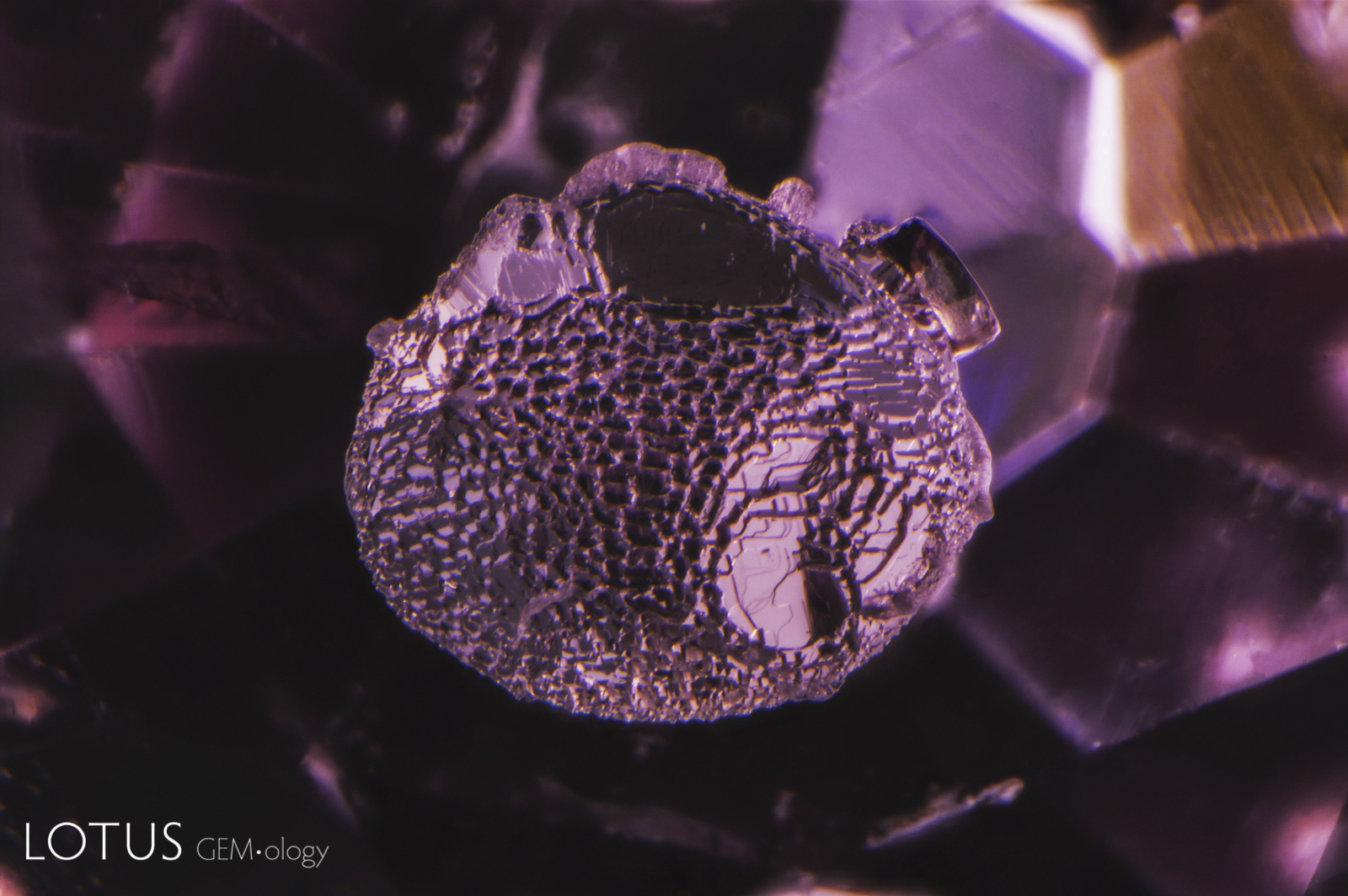 This rounded and corroded protogenetic pyrite inclusion in a Sri Lankan spinel shows a deeply pitted surface. 