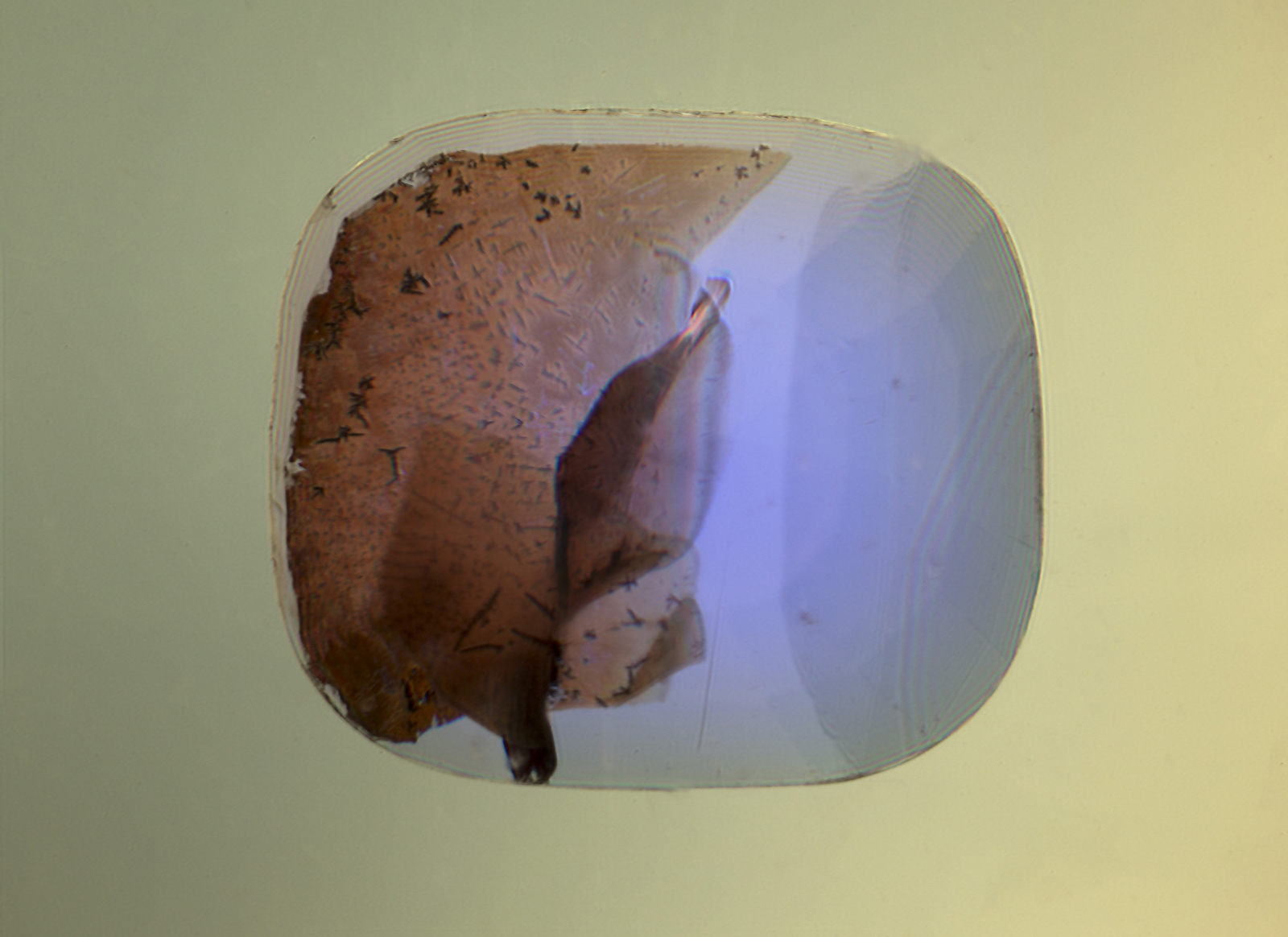 When immersed in di-iodomethane (methylene iodide), the extent of the fissure becomes readily apparent. Adding polarized light reveals Plato-Sandmeier twinning. A dislocation needle can also be seen at the lower center of the stone.