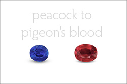 Ruby & Sapphire Color Types • From Peacock to Pigeon's Blood