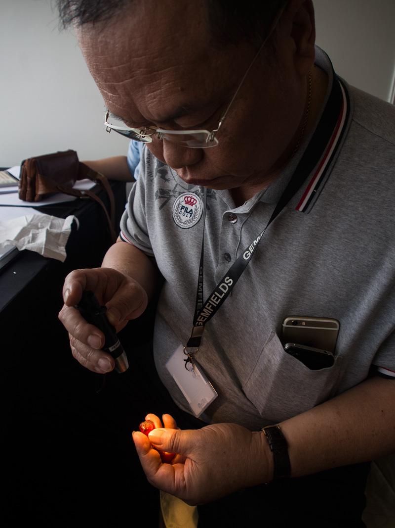Por Kuang Tang examines the Rhino ruby at Gemfields' December 2014 auction in Singapore. Photo: E. Billie Hughes/Lotus Gemology