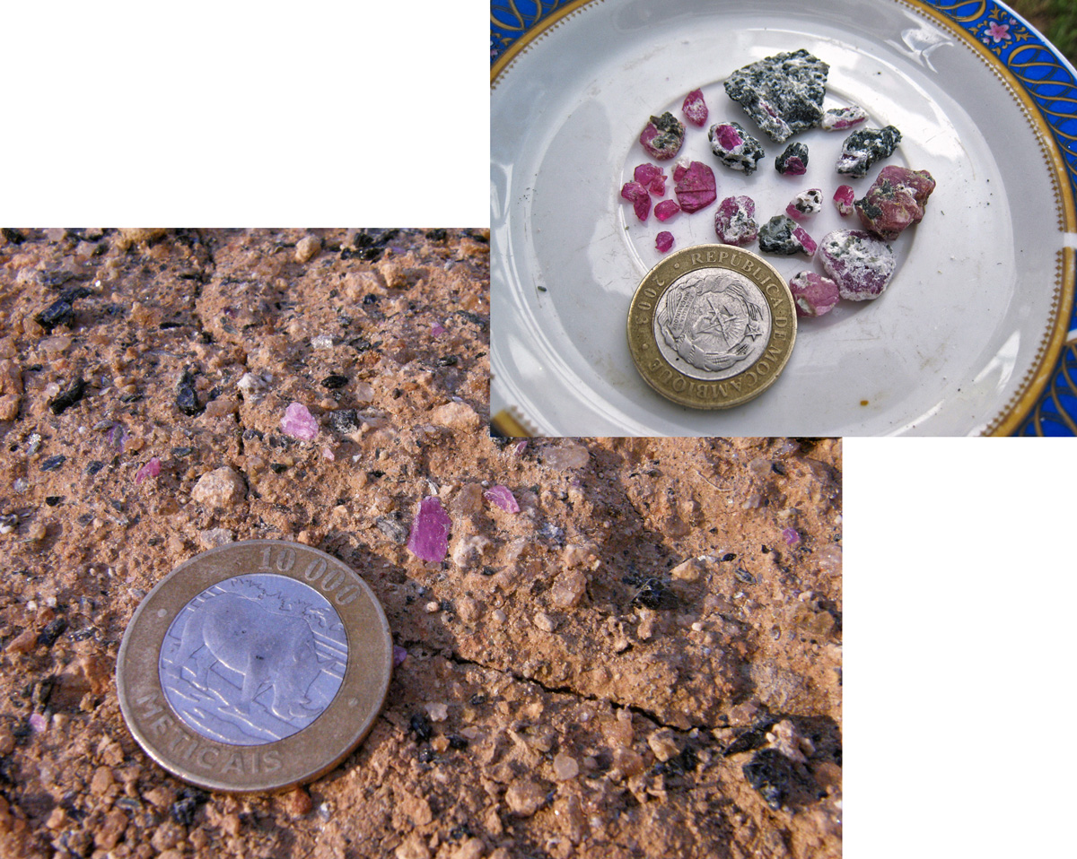 Upon our arrival at the site, we were able to collect a significant number of samples in just minutes, moreso than at any other ruby mine I had ever visited. Photo: Mark Smith; inset photo: Richard Hughes/Lotus Gemology.