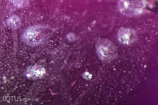 Coarse negative crystals with accretion halos surrounded by fingerprints in a hot pink sapphire from Vietnam’s Luc Yen mines.