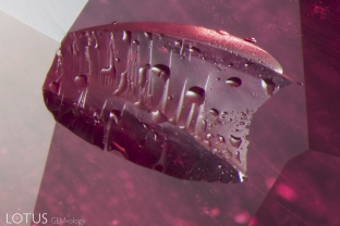 The fact that this hot pink ruby from Mozambique owes some of its beauty to artificial heat treatment is betrayed by the spall marks on a small natural on the pavilion. Like drops of frozen water, they cannot be scraped off with a dental pick, thus demonstrating that they are the result of heat treatment.