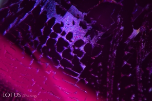 The vast majority of Mong Hsu rubies are heated with fluxes to heal their fissures. This is a rare example of a fingerprint in an Mong Hsu ruby that has not been heated. Note the angular nature of the negative crystals. Overhead lighting was used to reveal the interference colors on the surface of the liquid-filled channels.