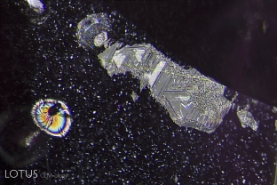 A heat-altered crystal with an iridescent decrepitation halo, alongside a surface cavity filled with glass.