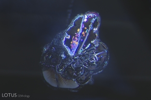 Melted crystals surrounded by heat-altered fingerprints in a heat-treated Madagascar sapphire.