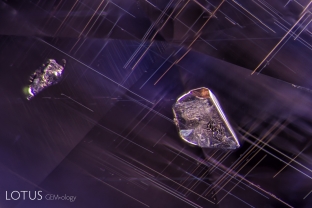 Unidentified sold crystals in a blue-violet sapphire from Sri Lanka. Careful examination shows that the larger crystal contains its own fingerprint inclusions.