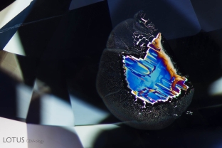 A rectilinear fingerprint shines brightly inside this untreated sapphire from Sri Lanka.