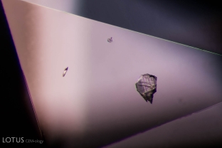 Magnesite crystal (ID'd via Lotus Gemology’s Micro Raman) cut through in a cobalt spinel; FOV 2 mm