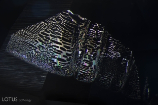 Fingerprint in untreated Mogok sapphire; note the vertical striations visible on the liquid channels; FOV 4 mm