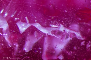 Whitish, flux filled cavities in a flux synthetic ruby display a melted appearance.