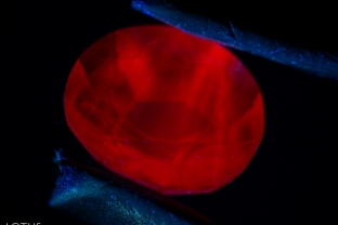 When illuminated with longwave ultraviolet light, this synthetic spinel glows a bright red.