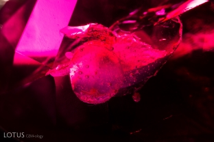 Bubbles can be observed in the filler that is present in the cavity in this ruby.