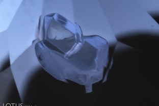 Quartz and apatite together in a Sri Lankan cobalt spinel. 5.1 mm approximate horizontal field of view.