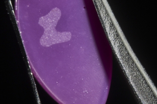 The engraved “L” on the back of a genuine Linde synthetic star ruby. All of the Linde production featured this branding.
