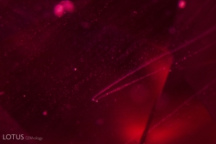 “Hairpin” or “comet” -type flux inclusions in a Kashan flux-grown synthetic ruby. They are compposed of a larger flux droplet and smaller flux particles forming the tails along the growth direction.