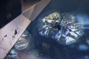 Negative crystal at the center of an iridescent decrepitation fingerprint in an unheated Cyangugu sapphire.