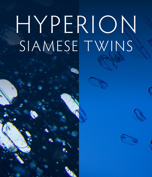 Hyperion Siamese Twins Inclusion Pairs Tool