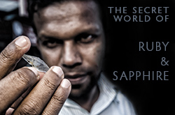 The Secret World of Ruby & Sapphire
