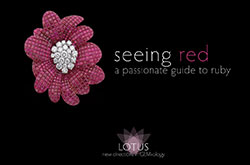 Ruby–Seeing Red