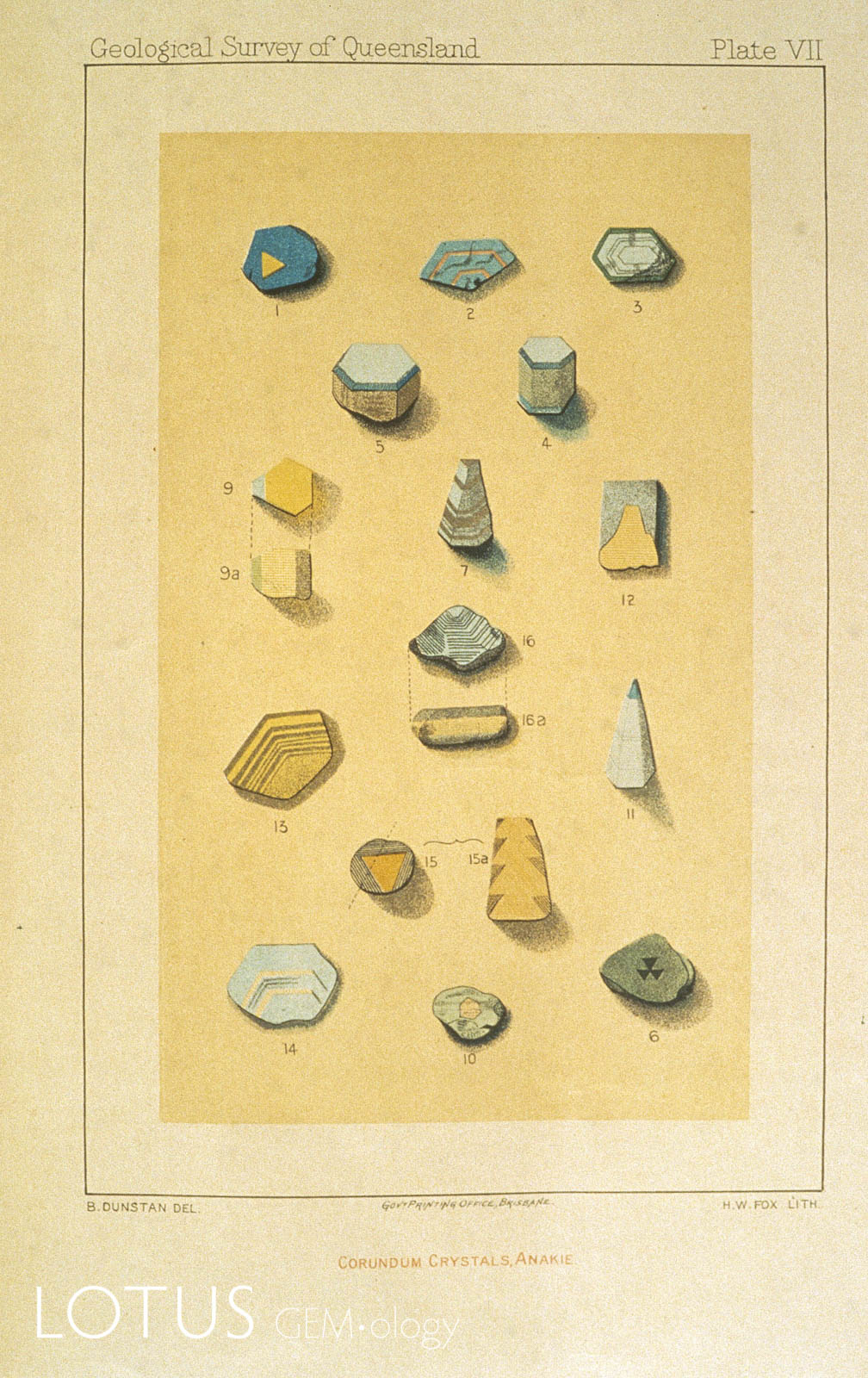 This colored plate from Dunstan's 1902 publication on Anakie (Queensland) sapphires shows various types of sapphire crystals.