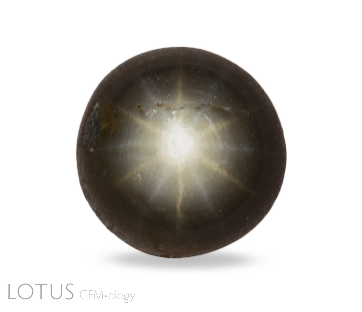 Figure 1. This 12-ray black star sapphire from Chanthaburi, Thailand contains two sets of silk offset 30° from one another. Note that one star is white while the other is slightly yellow. Photo: Chanon Yimkeativong/Lotus Gemology. Click on the photo for a larger image.