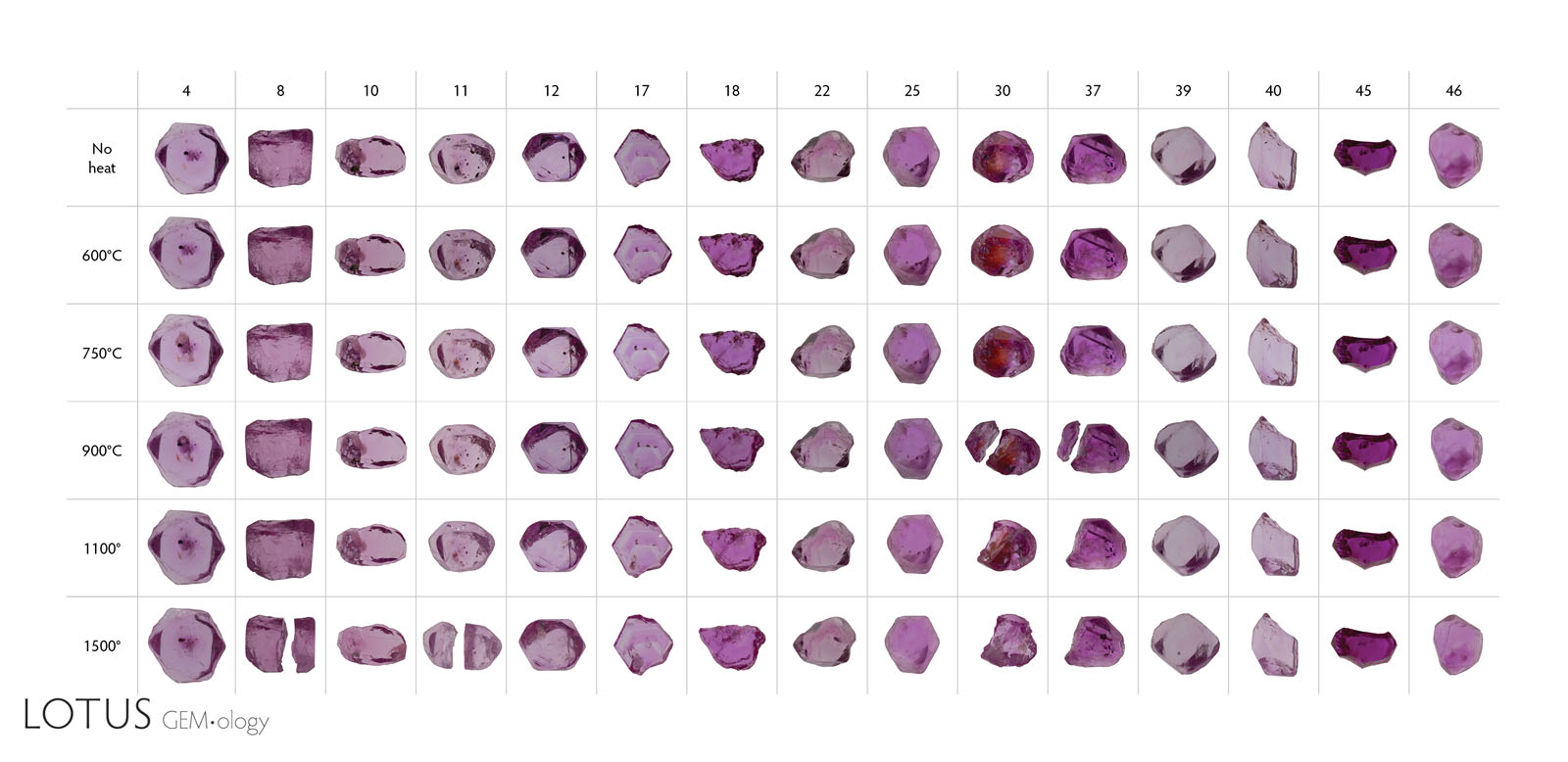 Figure 2. The 15 ruby samples from the experiments, before heat treatment and after each stage of heating. While the overall bodycolors did not show significant changes, there were changes to clarity as the inclusions al- tered. Sample 30 in particular showed a dramatic change in color due to the alteration of iron staining in a large fissure. Four samples (8, 11, 30, and 37) broke apart during heat treatment. We continued to heat the larger of the two pieces in subsequent rounds. Photos by Sora-at Manorotkul.