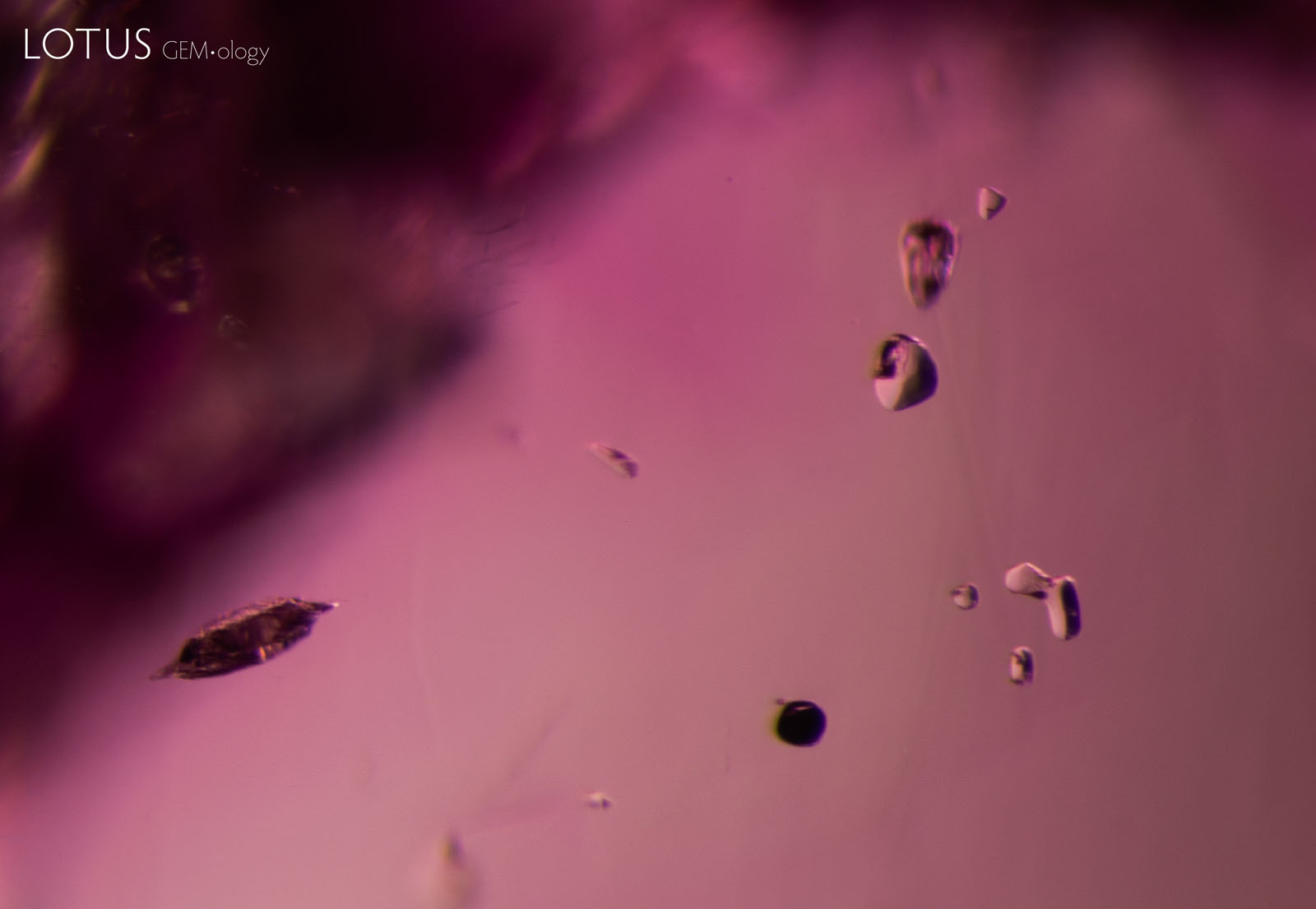 (Unheated) A variety of solid inclusions are present in sample 22. At left is a crystal containing diaspore, on the right are several transparent spinel crystals, and at the bottom right is a dark, rounded crystal of primary rutile.