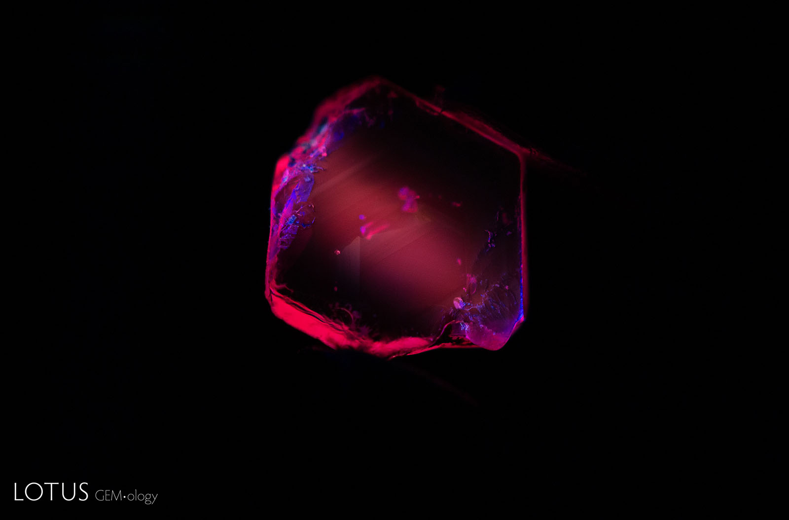 The ruby displays a medium red fluorescence in short-wave UV prior to heating.