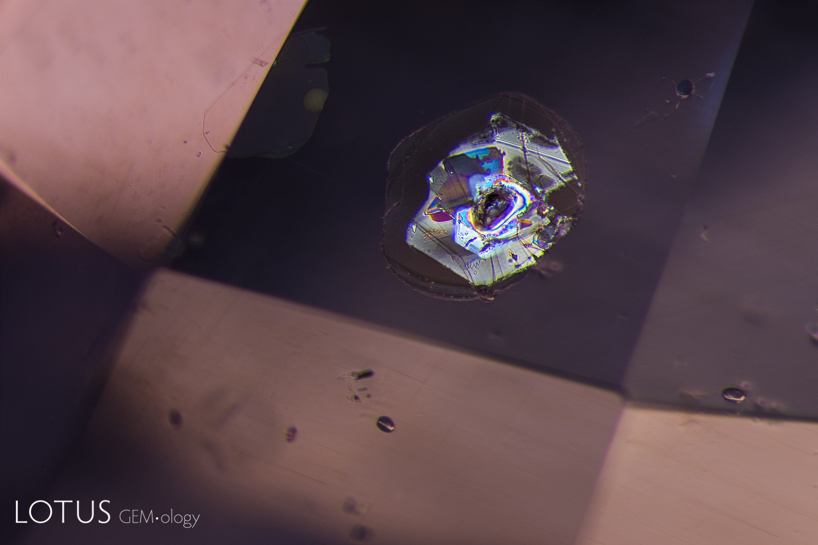 A combination of dark field and overhead lighting was used to photograph the same scene as at left, revealing two large mica plates and smaller rounded zircon crystals. The undamaged state of the mica reveals that this sapphire has not been subjected to heat treatment.