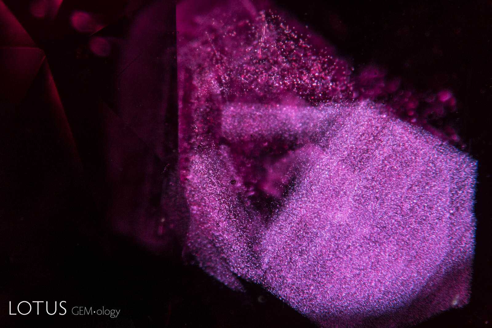 Secondary exsolved rutile silk in a ruby from Andilamena. Photo: Richard W. Hughes