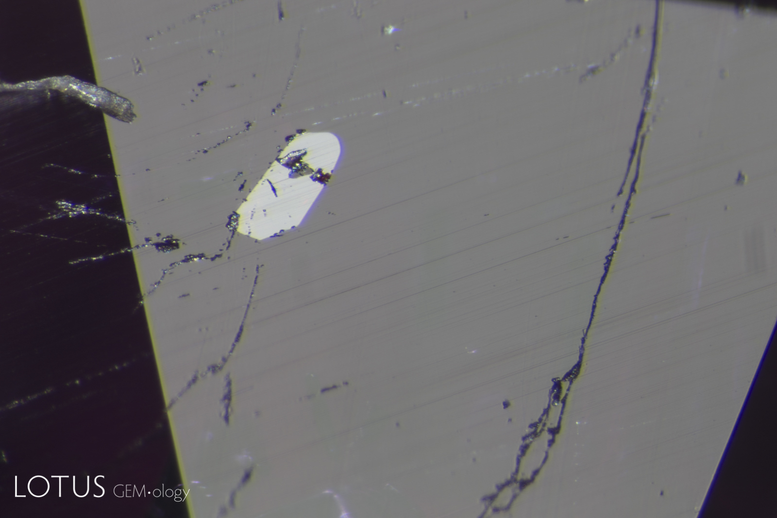 A+003-7035. Rutile in ruby from Afghanistan, no heat. FOV 2 mm. Overhead ligh source. Photo: WM