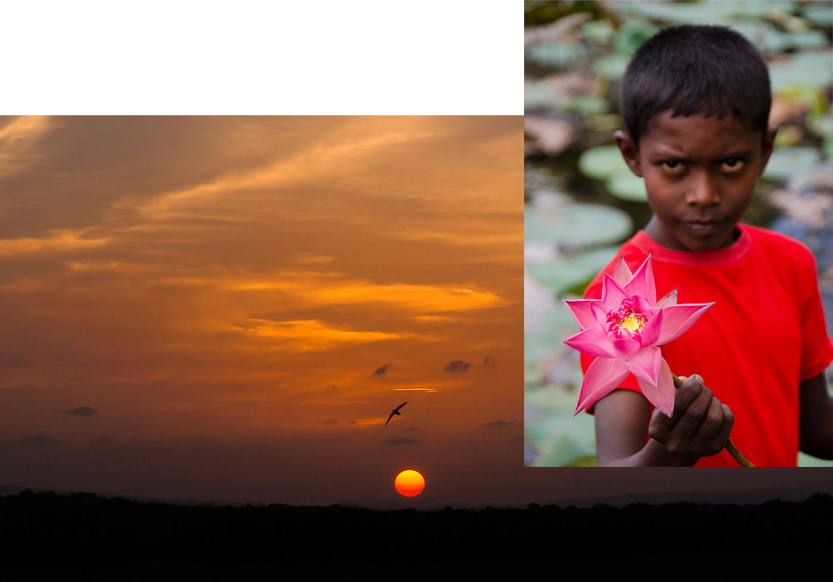 Figure 1. A marriage made in heaven The ideal color of a padparadscha has been described by some as the marriage between a lotus flower and a sunset, each shown above in Sri Lanka. Photos © Wimon Manorotkul (left) & Richard W. Hughes (right).