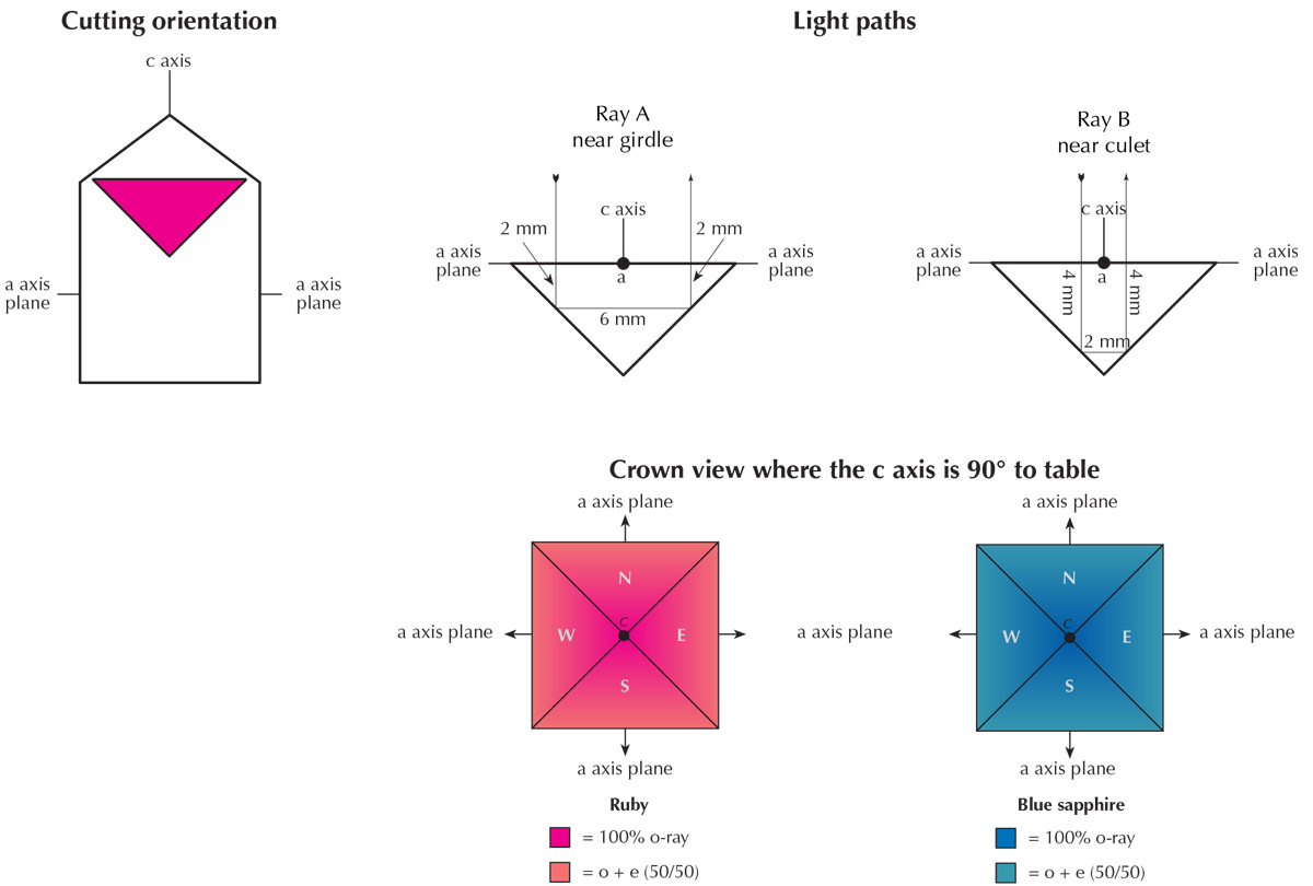 Figure 5. Pleochroism as seen through the crown in ruby and sapphire cut with the table at 90° to the c axis. Note that color variations in figures 5, 6, 8 and 12 are approximate only and designed to show general concepts. Refractive indices and pleochroism vary in logarithmic fashion, while the illustrations were generated showing linear variations. See Hurlbut (1984) for more details. Illustration: Richard W. Hughes