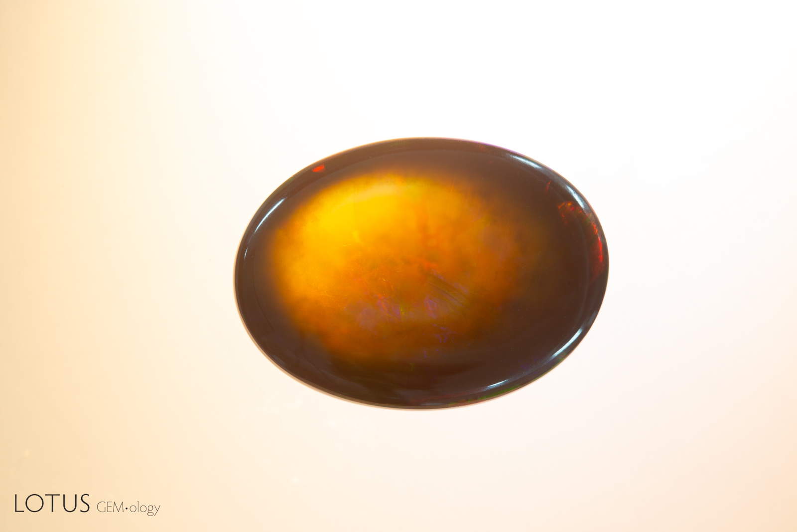 Smoked black opals 31.80 cts. Photo by Ronnakorn Manorotkul @Lotus Gemology 22/1/2026 Report NO. 6091-7339