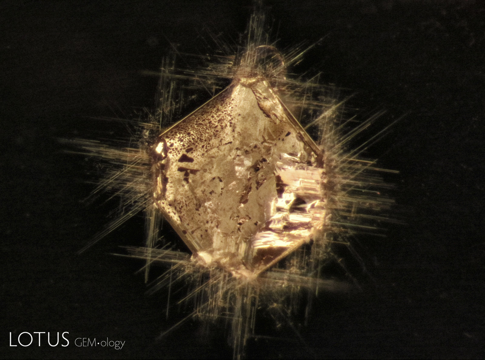 Xenomorphic carbonate (probably dolomite) filling an octahedral negative crystal with oriented needles at the corners. The needles might be either mineral matter or acicular voids. Spinel host from Burma (Myanmar). 200X.