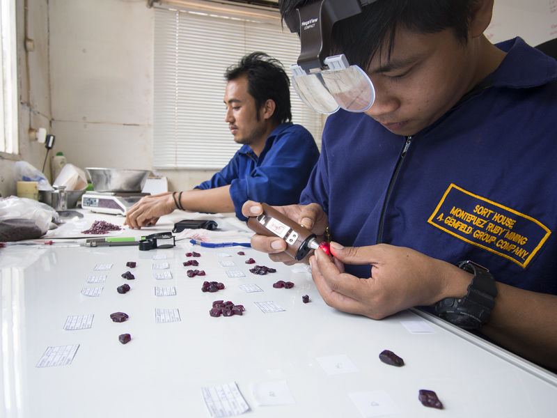 When grading gems, viewing geometry, background and controlled lighting are crucial. Here we see Burmese staff sorting rough at Gemfields’ Montepuez ruby mines. Although it is not consistent, natural daylight is still superior to all other light sources, because windows provide lots of lux and a large, diffuse radiating surface. The closest artificial equivalent is a xenon short arc source. While we use these in microscopy at Lotus Gemology, a unit for color grading has still yet to be developed. Photo: E. Billie Hughes, 2015