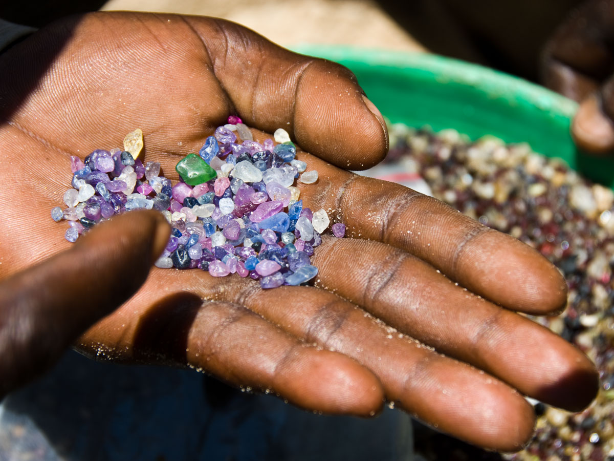 Bush meat Tunduru sapphires (along with a green garnet) from the Ruvuma river that forms the border between Tanzania and Mozambique. While the sapphire color range is quite similar to that in Sri Lanka, the occurrence of green garnet distinguishes Tunduru gravels from those of Ceylon. In addition, the Tunduru gravels are almost completely waterworn, whereas in Sri Lanka, euhedral crystals are commonplace. Photo: Richard W. Hughes