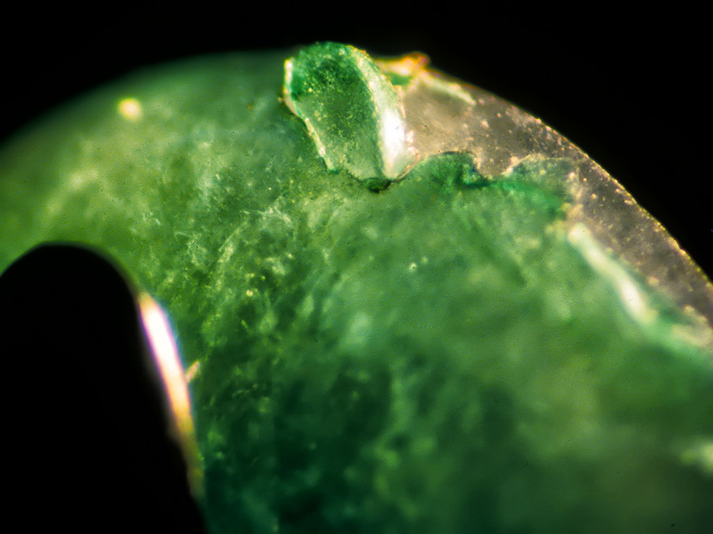 Bottom: A plastic-coated jadeite cabochon displays peeling of the green plastic at the girdle under magnification. Photos © Richard W. Hughes