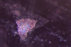 Mottled features in heated spinel