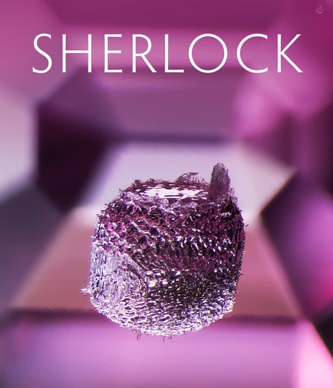 Sherlock Inclusion Research Tool