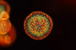 Thin-film decrepitation inclusions create a colorful mosaic pattern in a beryllium-diffused orange sapphire under diffused fiber-optic lighting.