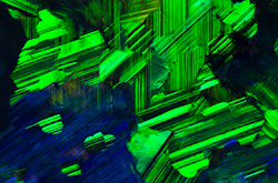 A discussion about the importance of inclusions and photomicrography.