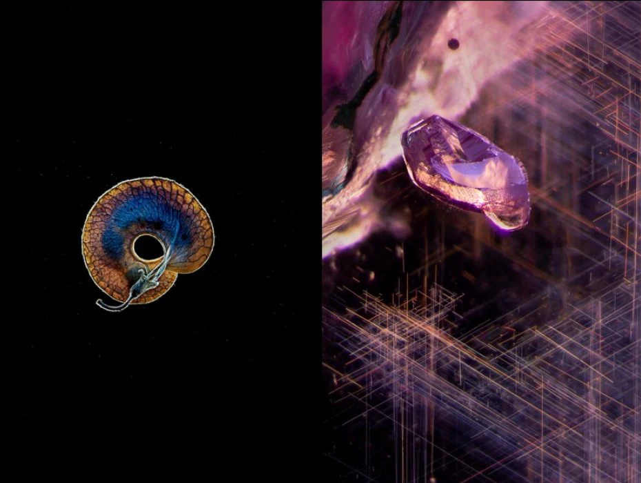 Billie Hughes, Thierry Ardouin, and Olivier Segura discuss the intersection between photography, art, science, and nature.