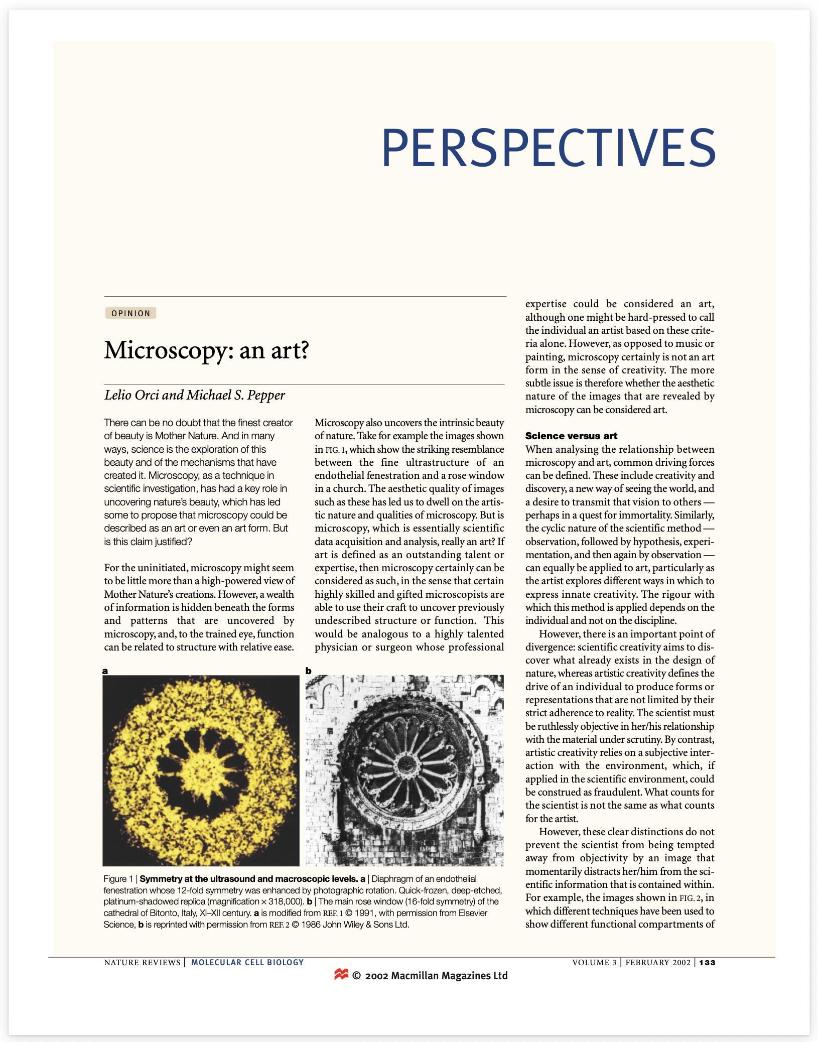 Microscopy: an art?