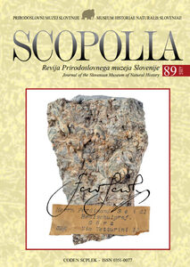 Corundum from Prilep Dolomitic Marble (Macedonia)