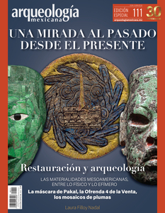 Conclusiones (Mosaicos de plumas)
